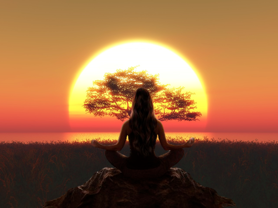 Yoga Foundations for Success