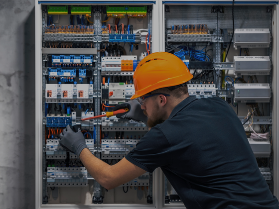 12. Fitter – Electrical and Electronic Assembly