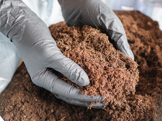 2. Vermicompost Producer (6)
