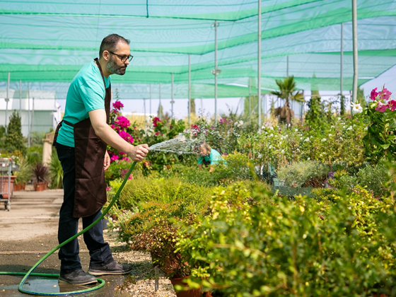 3. Gardener (3)