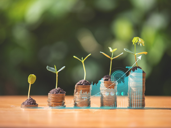 1. Personal finance for wellbeing (SCORM BASED) (1)